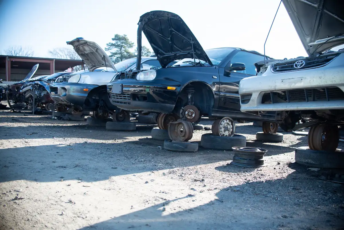 Row of vehicles at a self-serve salvage yard