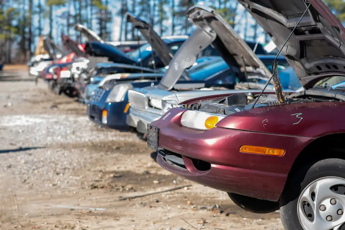 Row of vehicles at a self-serve salvage yard